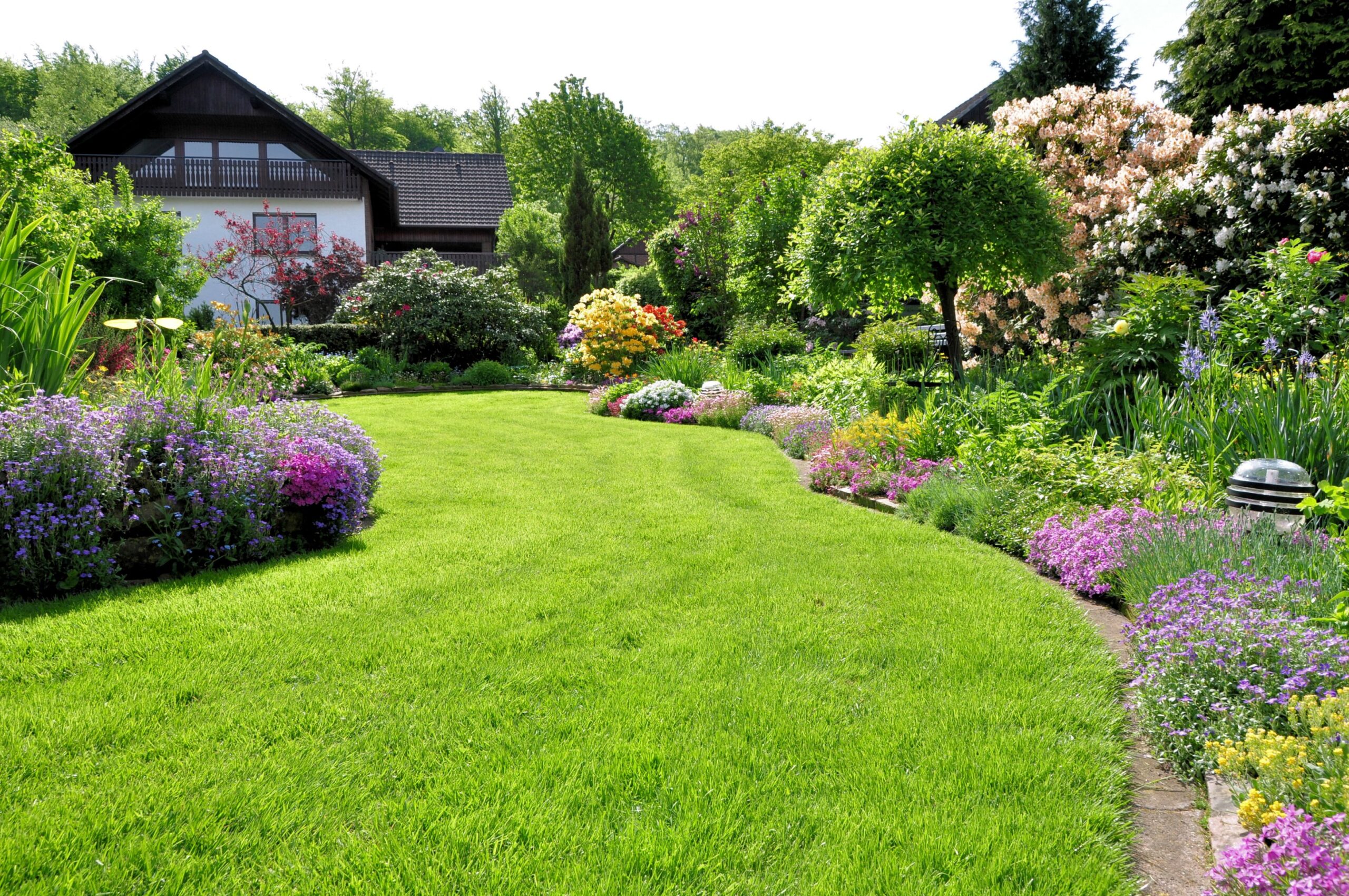 Rasen unkrautfrei_Garten